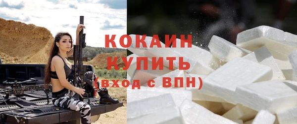 прущие грибы Богданович