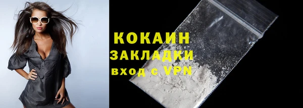 прущие грибы Богданович