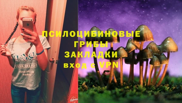 мяу мяу мука Богородск