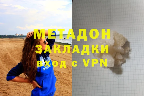 прущие грибы Богданович