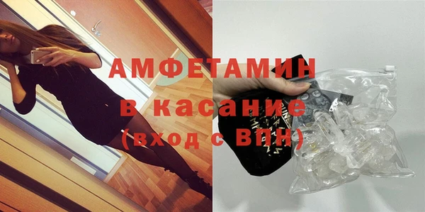 прущие грибы Богданович