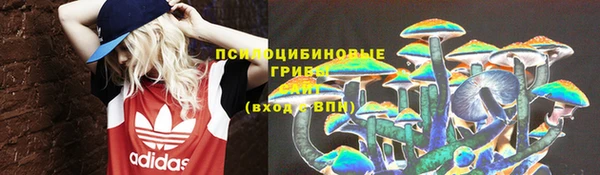 прущие грибы Богданович