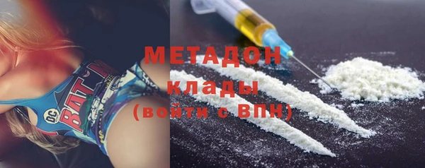 прущие грибы Богданович