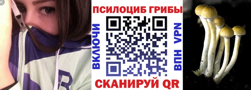 Псилоцибиновые грибы ЛСД  закладки  omg   Медногорск 